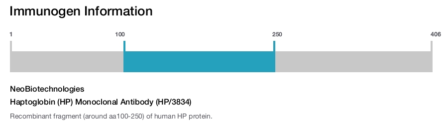 Haptoglobin (HP) Monoclonal Antibody (HP/3834)