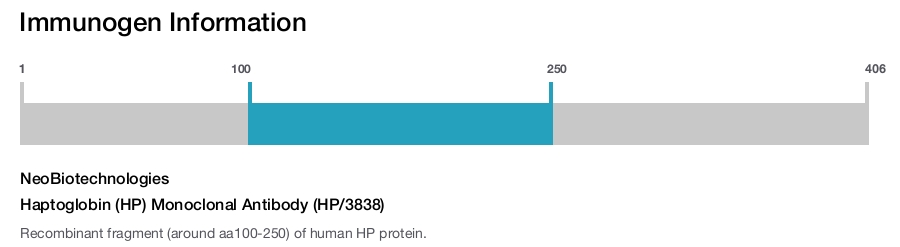 Haptoglobin (HP) Monoclonal Antibody (HP/3838)