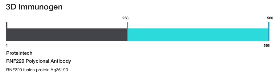 RNF220 Polyclonal Antibody