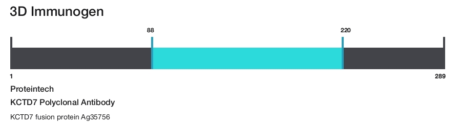 KCTD7 Polyclonal Antibody