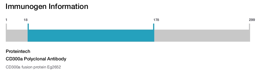 CD300a Polyclonal Antibody
