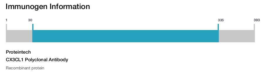 CX3CL1 Polyclonal Antibody