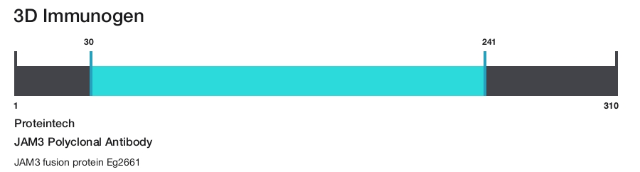 JAM3 Polyclonal Antibody