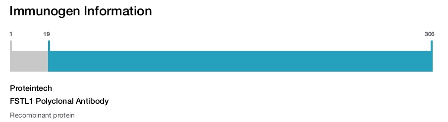 FSTL1 Polyclonal Antibody