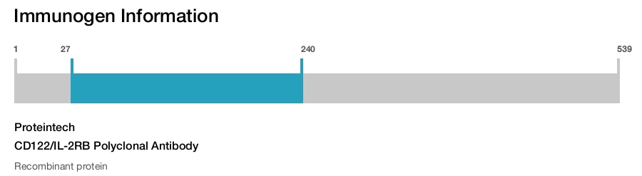 CD122/IL-2RB Polyclonal Antibody