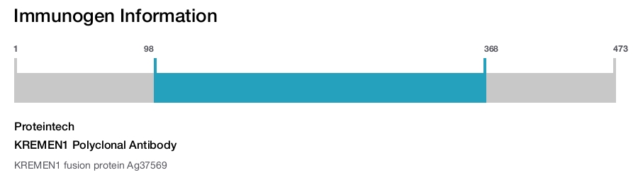 KREMEN1 Polyclonal Antibody