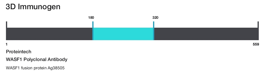 WASF1 Polyclonal Antibody