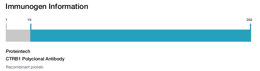 CTRB1 Polyclonal Antibody