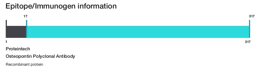 Osteopontin Polyclonal Antibody
