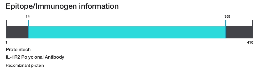 IL-1R2 Polyclonal Antibody