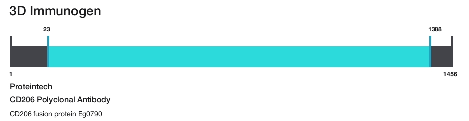 CD206 Polyclonal Antibody