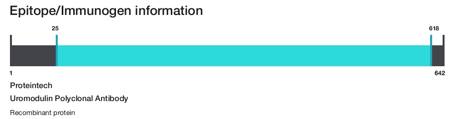 Uromodulin Polyclonal Antibody
