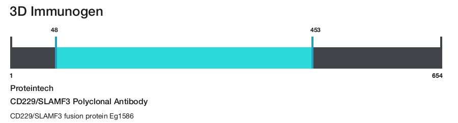 CD229/SLAMF3 Polyclonal Antibody