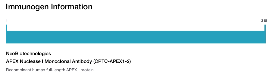 APEX Nuclease I Monoclonal Antibody (CPTC-APEX1-2)