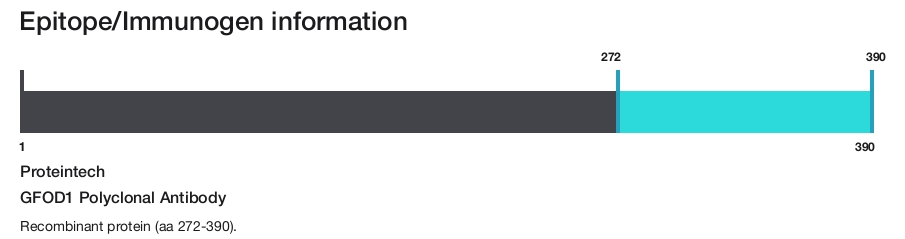 GFOD1 Polyclonal Antibody