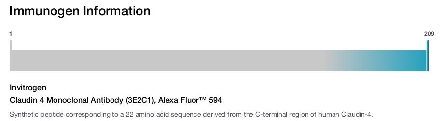 Claudin 4 Monoclonal Antibody (3E2C1), Alexa Fluor™ 594