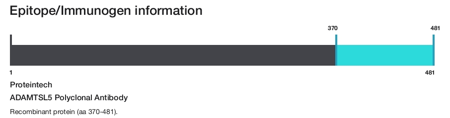 ADAMTSL5 Polyclonal Antibody