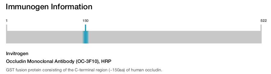 Occludin Monoclonal Antibody (OC-3F10), HRP
