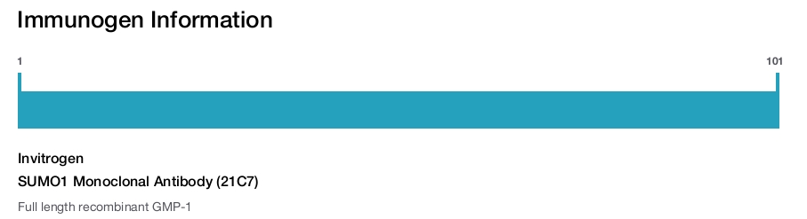 SUMO1 Monoclonal Antibody (21C7)