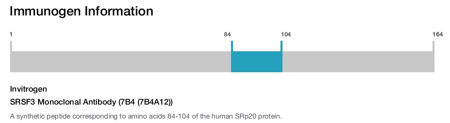 SRSF3 Monoclonal Antibody (7B4 (7B4A12))