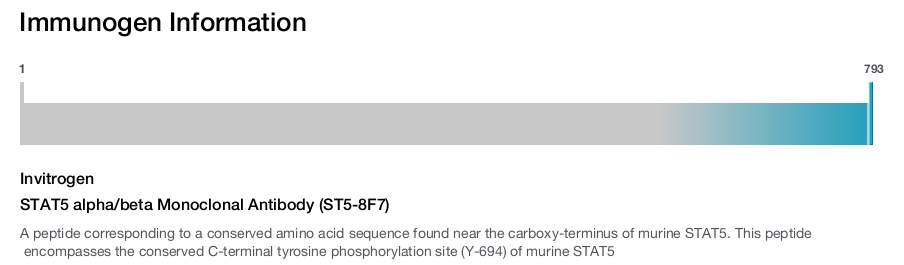 STAT5 alpha/beta Monoclonal Antibody (ST5-8F7)