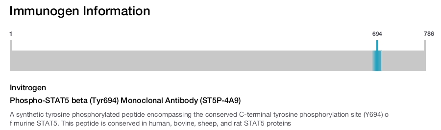 Phospho-STAT5 beta (Tyr694) Monoclonal Antibody (ST5P-4A9)