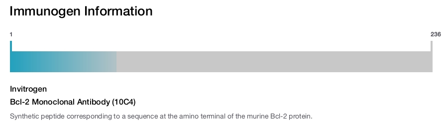 Bcl-2 Monoclonal Antibody (10C4)