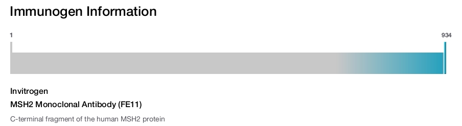 MSH2 Monoclonal Antibody (FE11)