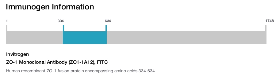 ZO-1 Monoclonal Antibody (ZO1-1A12), FITC