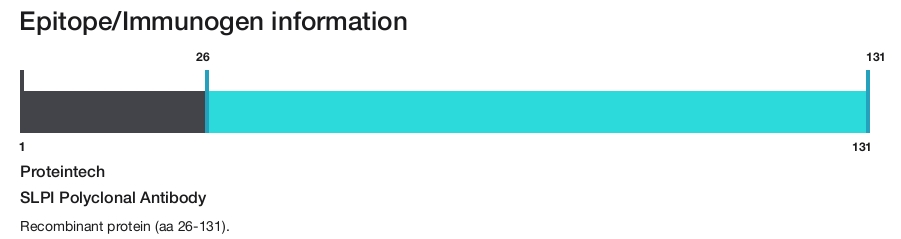 SLPI Polyclonal Antibody