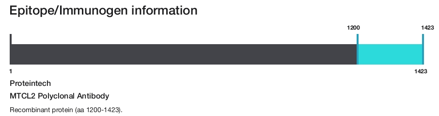 MTCL2 Polyclonal Antibody