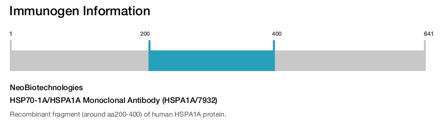 HSP70-1A/HSPA1A Monoclonal Antibody (HSPA1A/7932)
