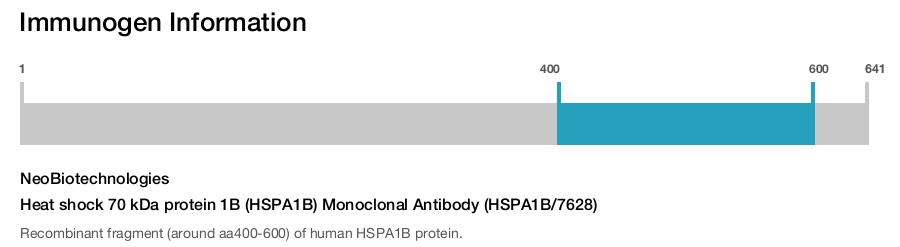 Heat shock 70 kDa protein 1B (HSPA1B) Monoclonal Antibody (HSPA1B/7628)