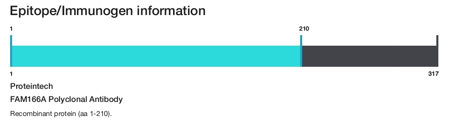 FAM166A Polyclonal Antibody