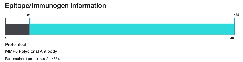 MMP8 Polyclonal Antibody