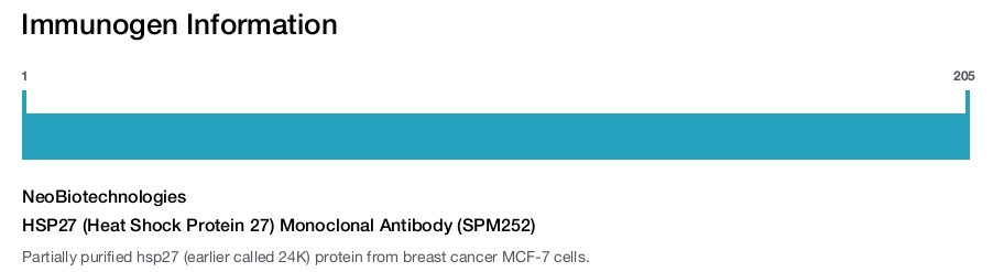 HSP27 (Heat Shock Protein 27) Monoclonal Antibody (SPM252)