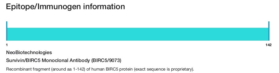 Survivin/BIRC5 Monoclonal Antibody (BIRC5/9073)