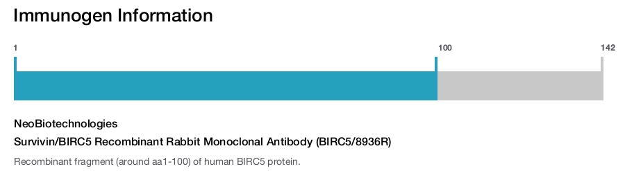 Survivin/BIRC5 Recombinant Rabbit Monoclonal Antibody (BIRC5/8936R)