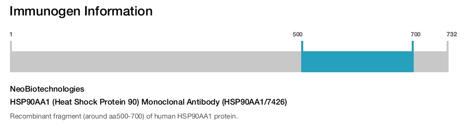HSP90AA1 (Heat Shock Protein 90) Monoclonal Antibody (HSP90AA1/7426)