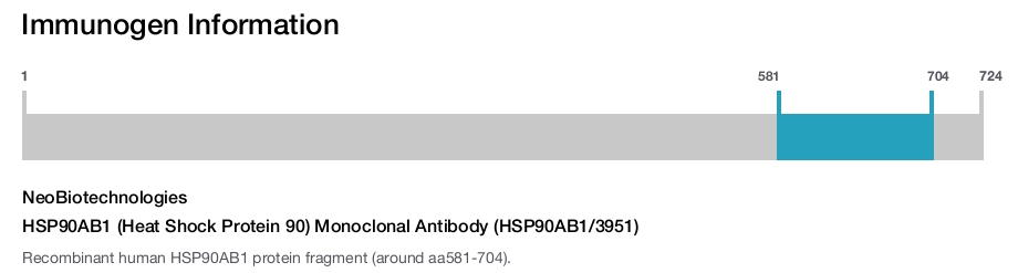 HSP90AB1 (Heat Shock Protein 90) Monoclonal Antibody (HSP90AB1/3951)