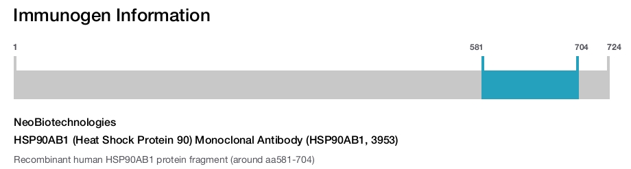 HSP90AB1 (Heat Shock Protein 90) Monoclonal Antibody (HSP90AB1, 3953)