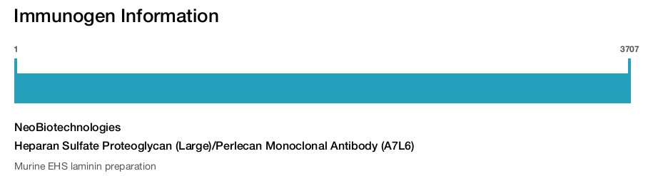 Heparan Sulfate Proteoglycan (Large)/Perlecan Monoclonal Antibody (A7L6)