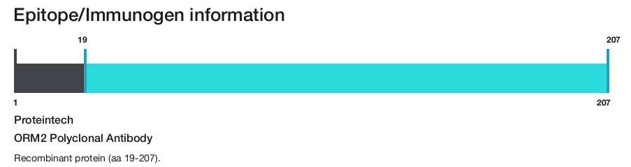 ORM2 Polyclonal Antibody