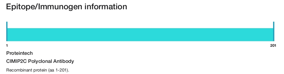 CIMIP2C Polyclonal Antibody