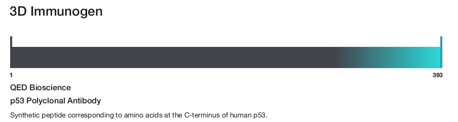 p53 Polyclonal Antibody