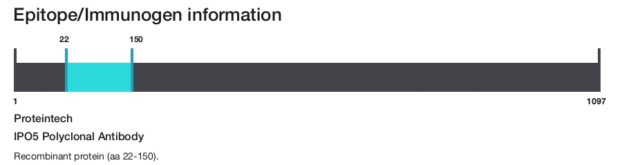 IPO5 Polyclonal Antibody