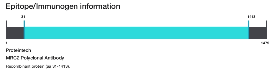 MRC2 Polyclonal Antibody