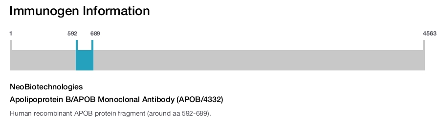 Apolipoprotein B/APOB Monoclonal Antibody (APOB/4332)