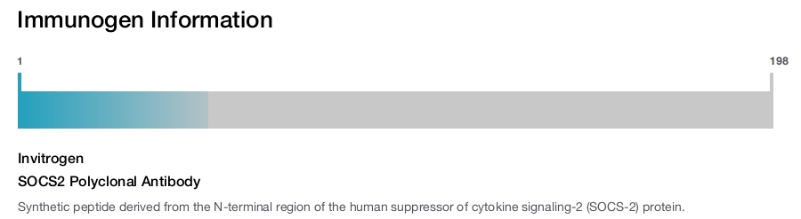 SOCS2 Polyclonal Antibody