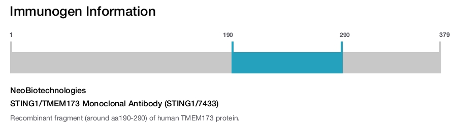 STING1/TMEM173 Monoclonal Antibody (STING1/7433)